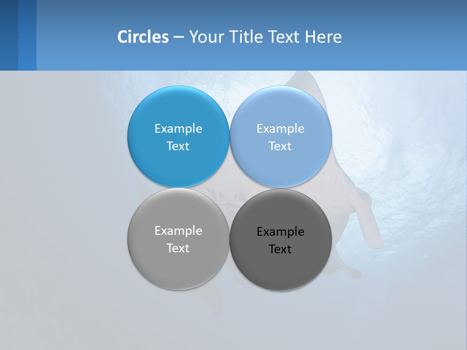 White Temperature Unit PowerPoint Template