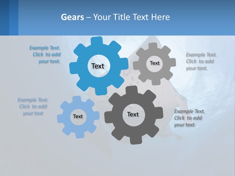 White Temperature Unit PowerPoint Template