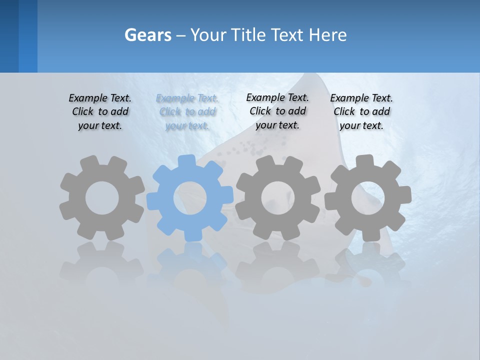 White Temperature Unit PowerPoint Template