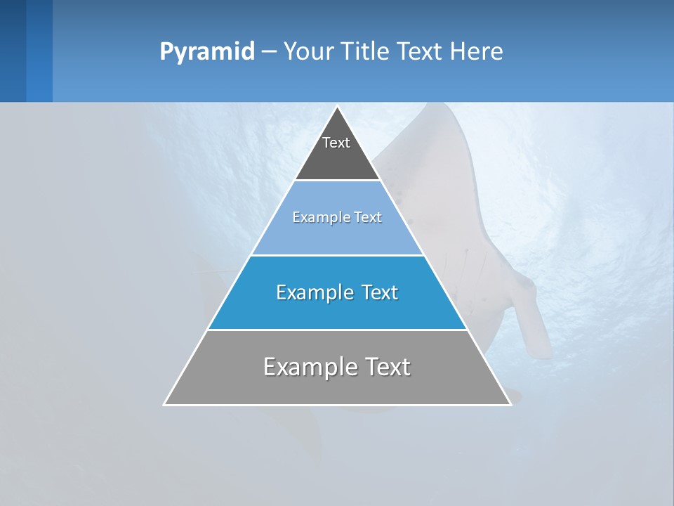 White Temperature Unit PowerPoint Template