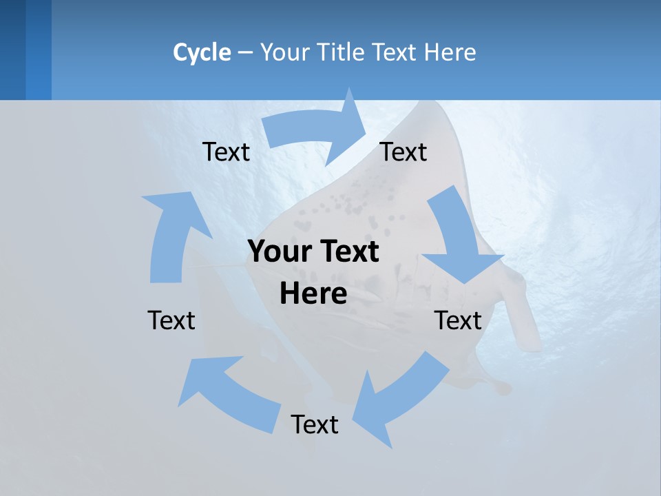 White Temperature Unit PowerPoint Template