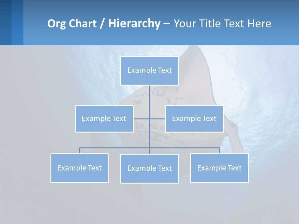 White Temperature Unit PowerPoint Template