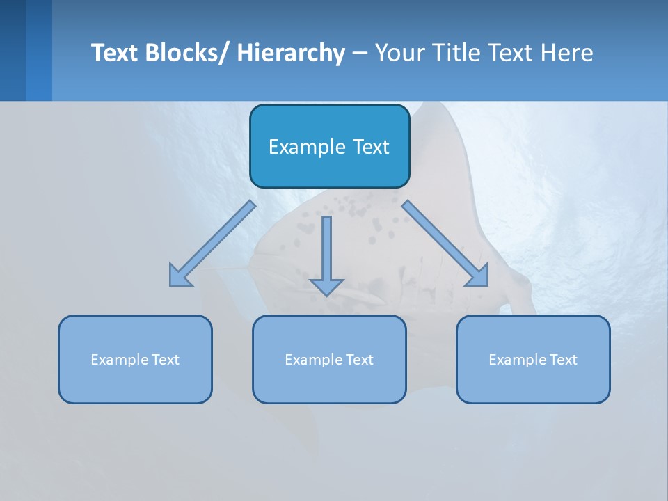 White Temperature Unit PowerPoint Template