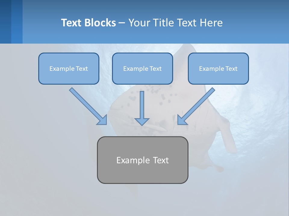White Temperature Unit PowerPoint Template