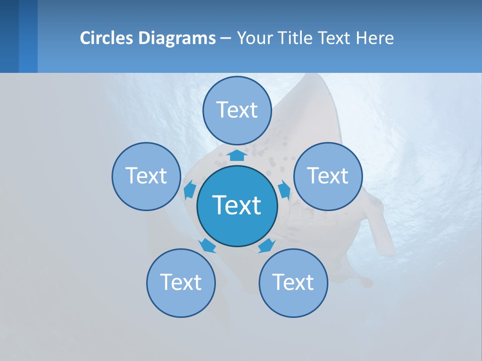 White Temperature Unit PowerPoint Template