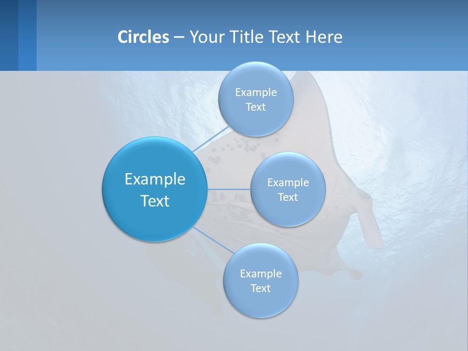 White Temperature Unit PowerPoint Template