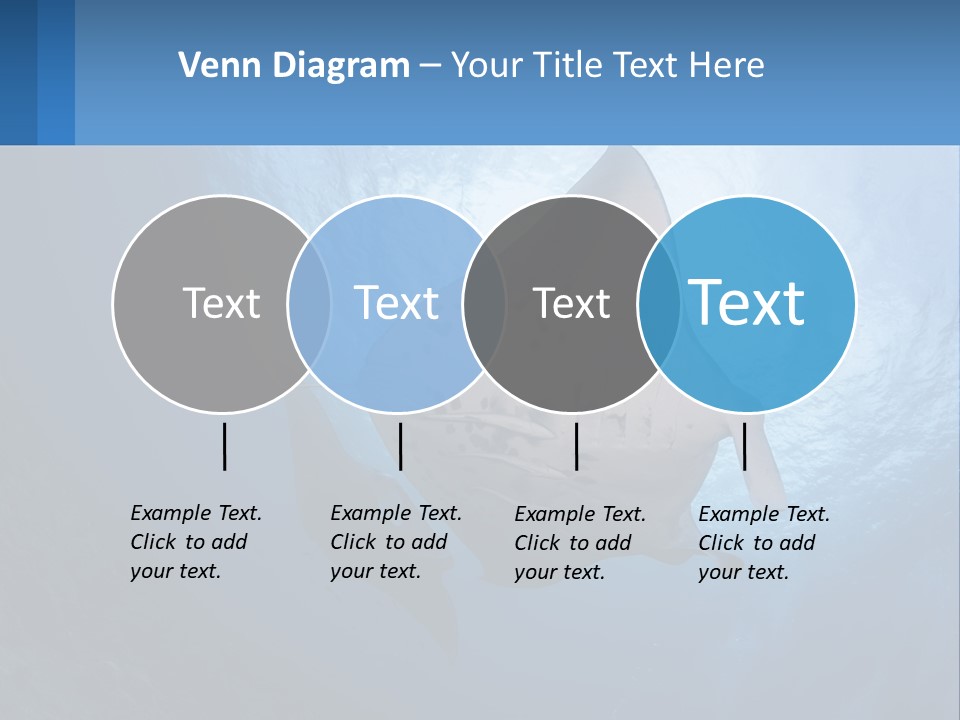 White Temperature Unit PowerPoint Template
