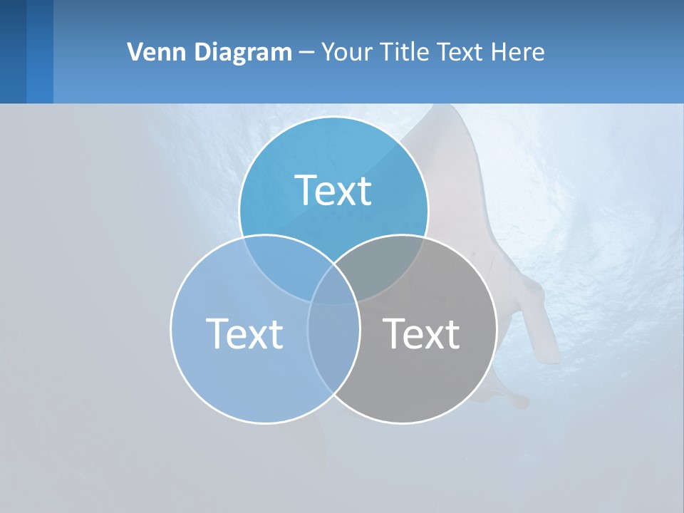 White Temperature Unit PowerPoint Template