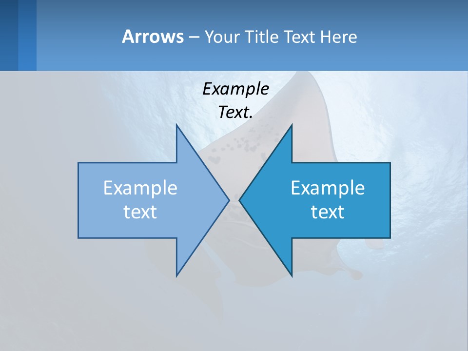 White Temperature Unit PowerPoint Template