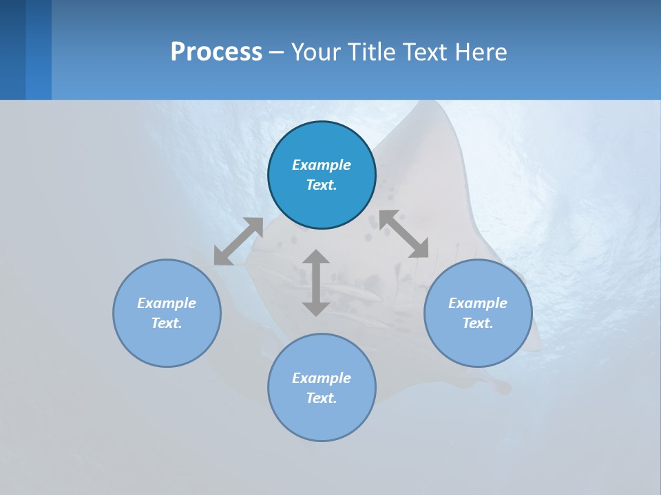 White Temperature Unit PowerPoint Template