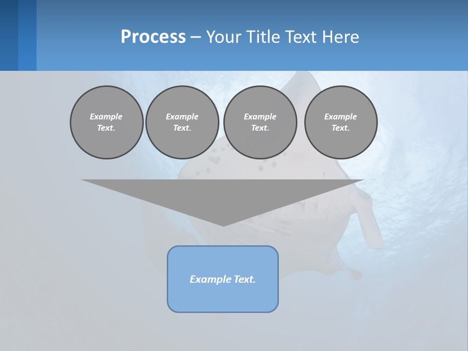 White Temperature Unit PowerPoint Template