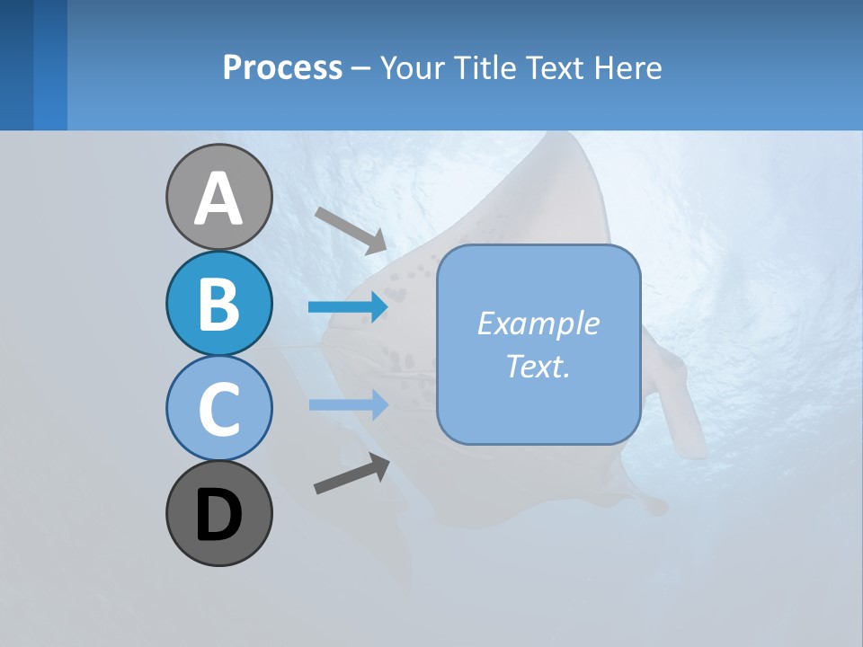 White Temperature Unit PowerPoint Template