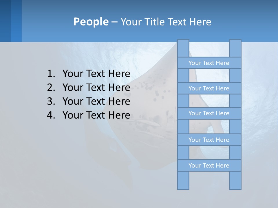 White Temperature Unit PowerPoint Template