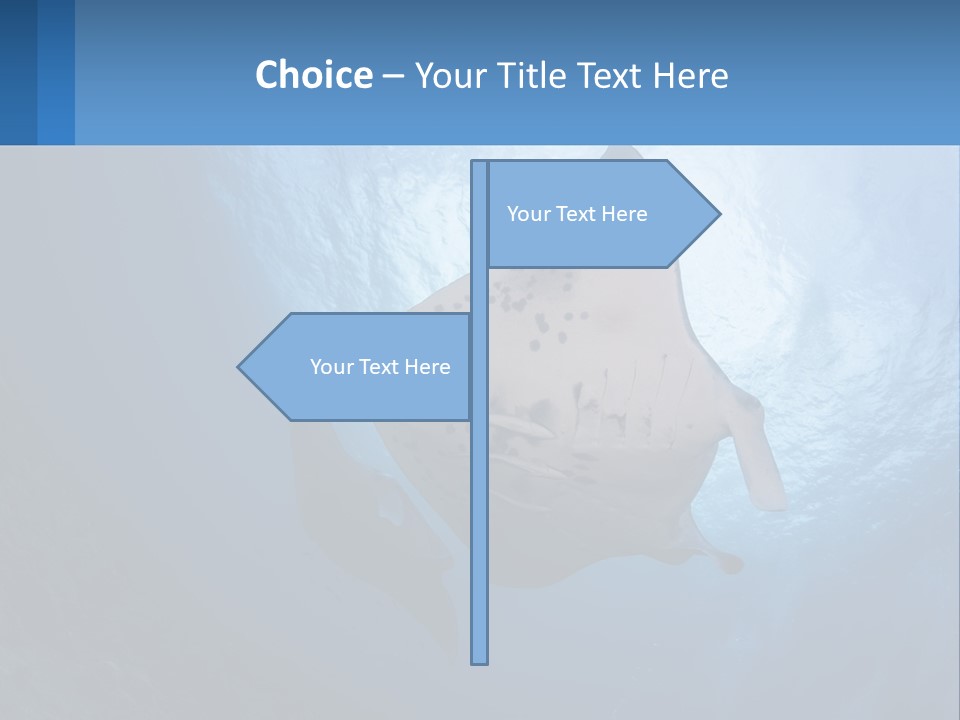 White Temperature Unit PowerPoint Template