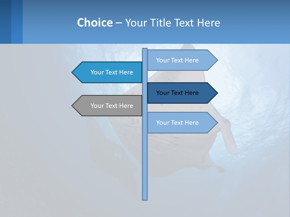 White Temperature Unit PowerPoint Template