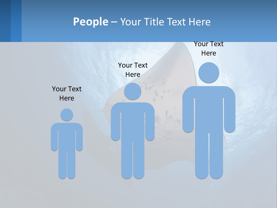 White Temperature Unit PowerPoint Template