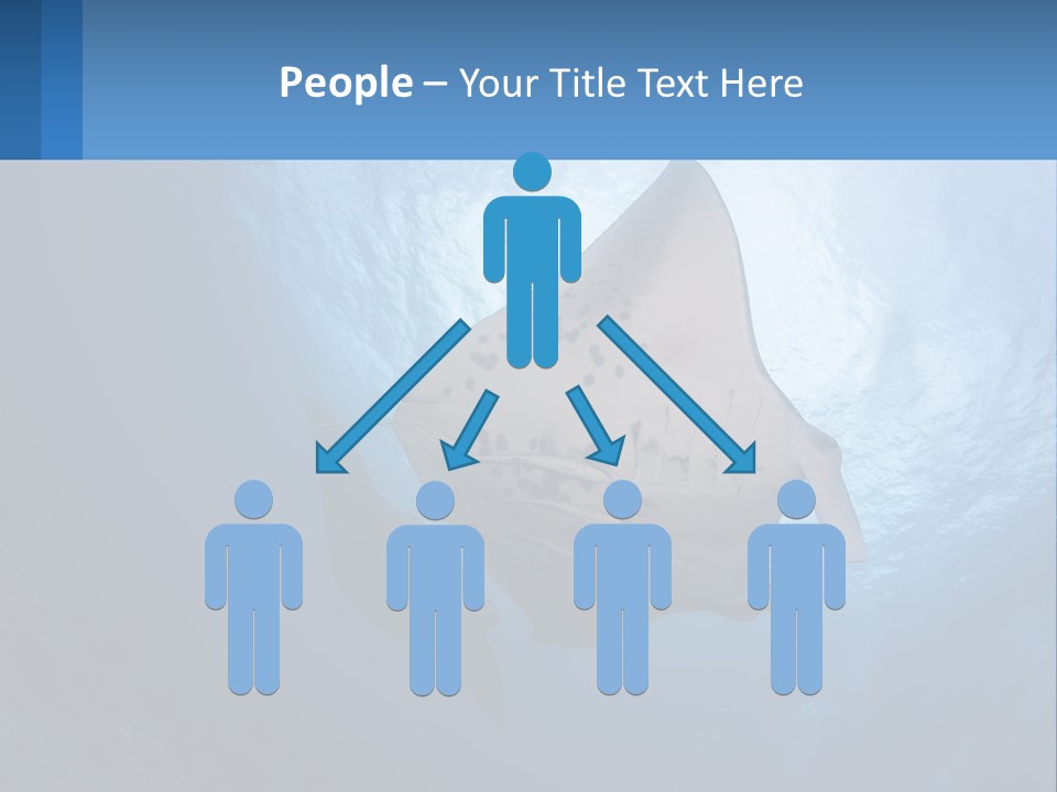 White Temperature Unit PowerPoint Template