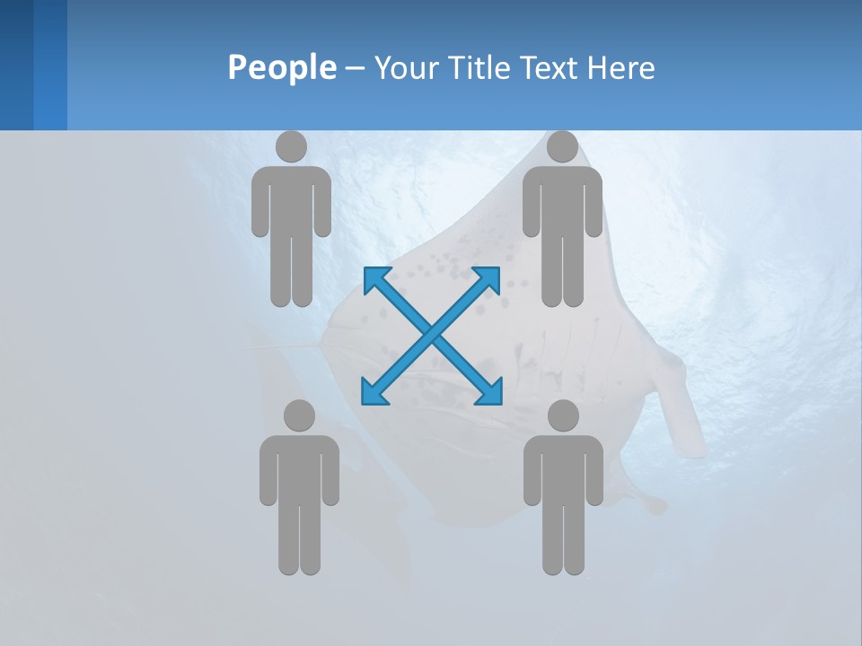 White Temperature Unit PowerPoint Template