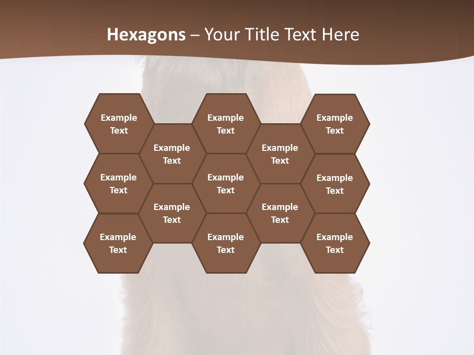 Home Cold Heat PowerPoint Template