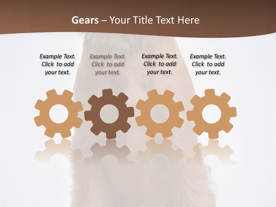 Home Cold Heat PowerPoint Template