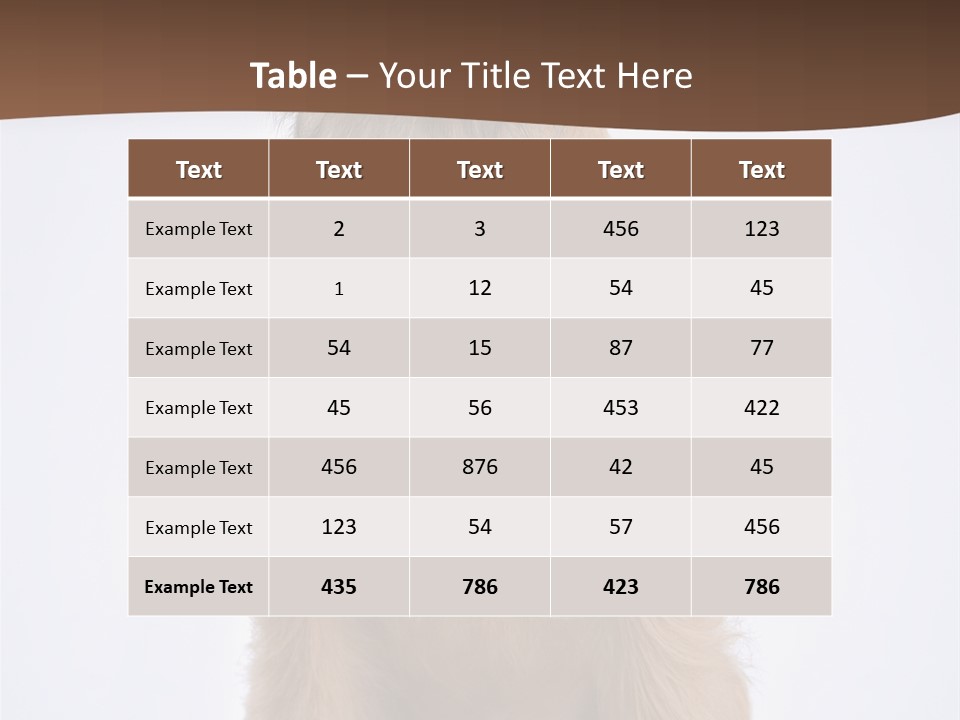 Home Cold Heat PowerPoint Template