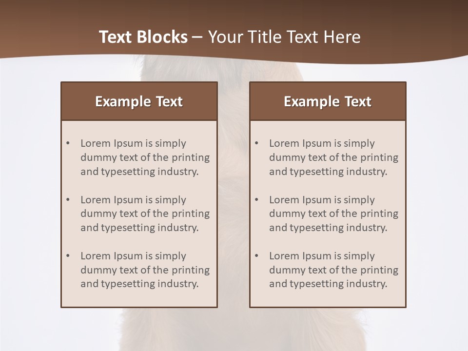 Home Cold Heat PowerPoint Template