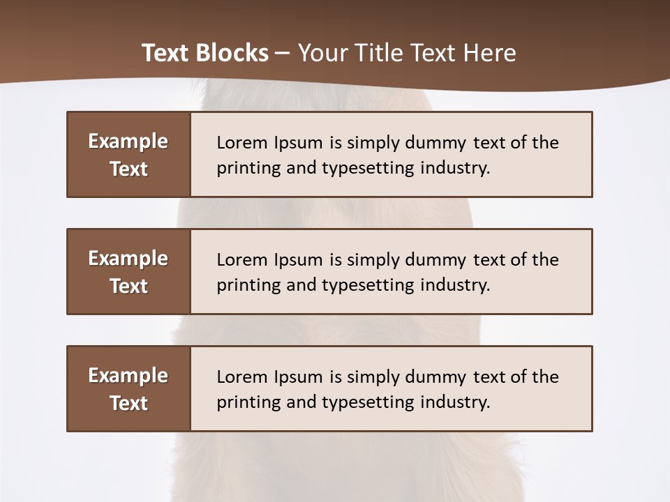 Home Cold Heat PowerPoint Template