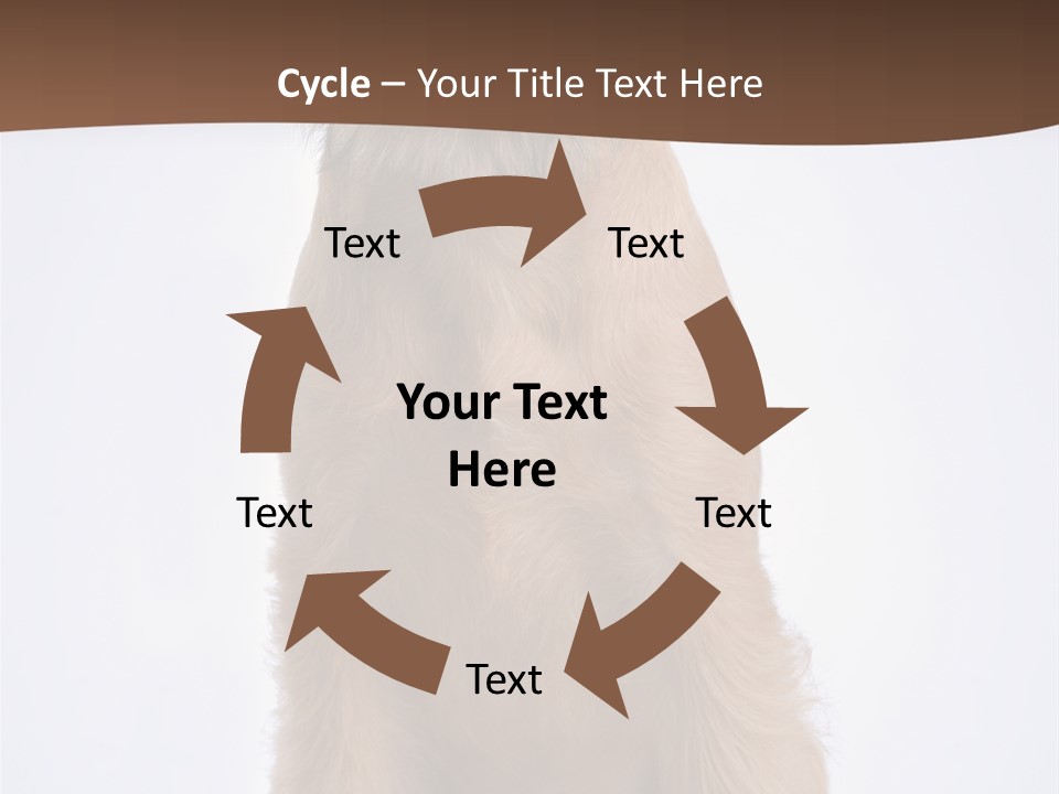 Home Cold Heat PowerPoint Template