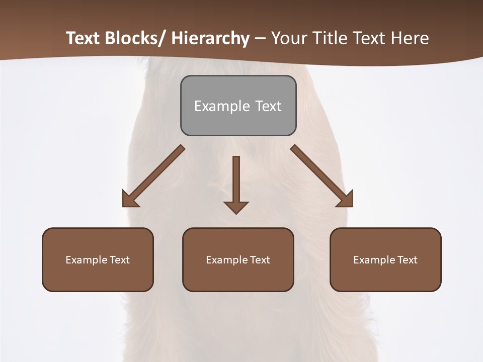 Home Cold Heat PowerPoint Template