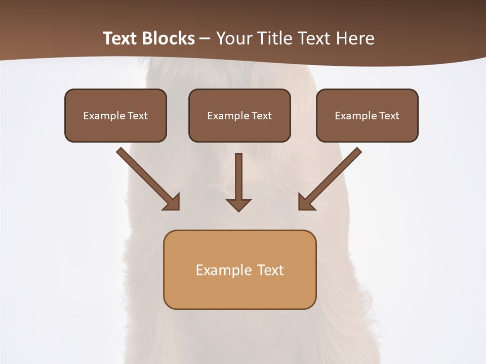 Home Cold Heat PowerPoint Template