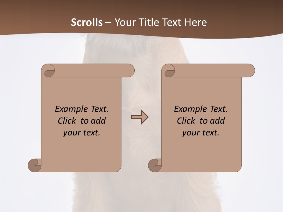 Home Cold Heat PowerPoint Template