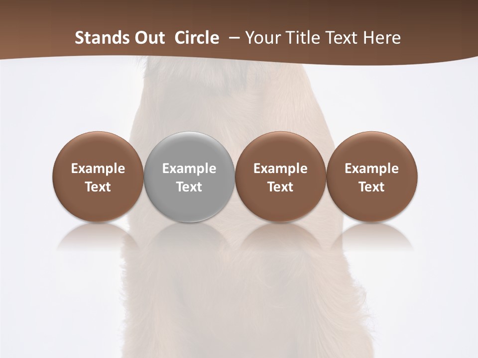 Home Cold Heat PowerPoint Template