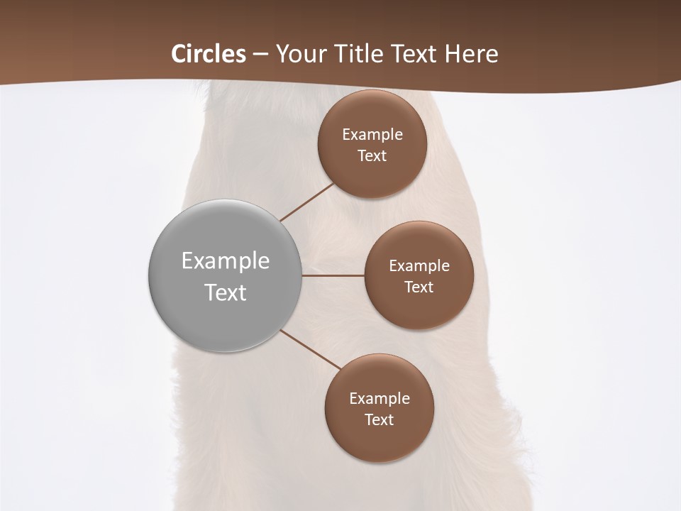 Home Cold Heat PowerPoint Template