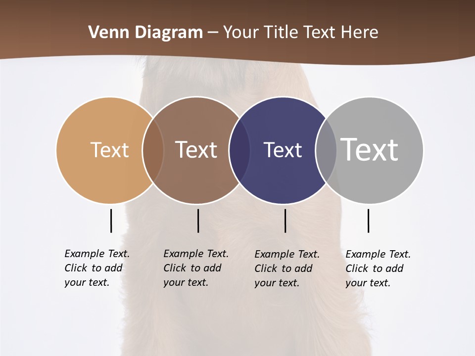 Home Cold Heat PowerPoint Template