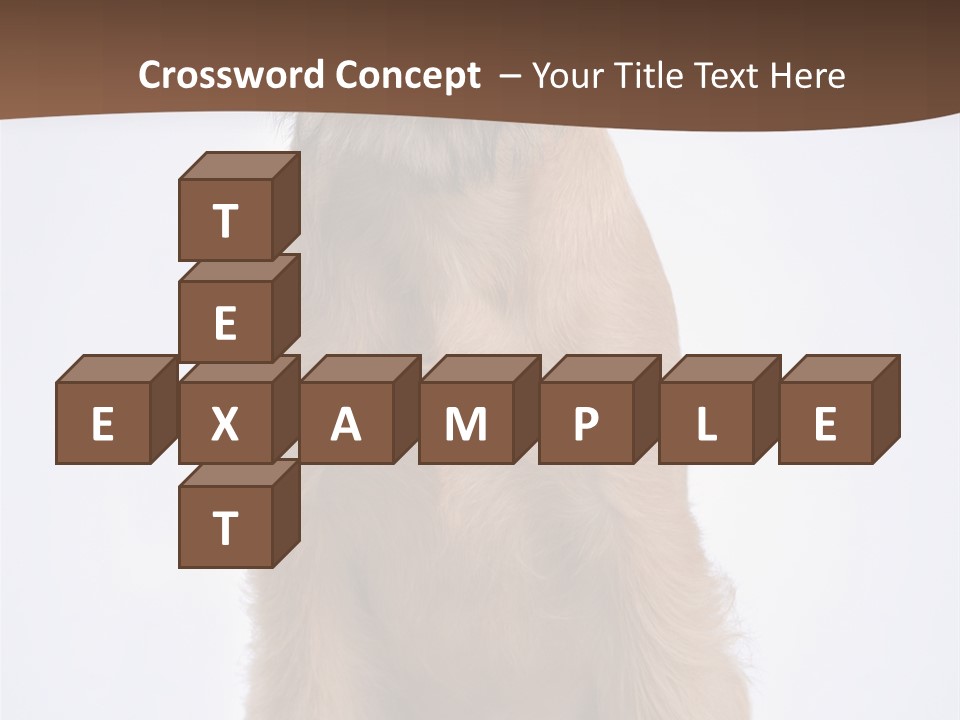 Home Cold Heat PowerPoint Template