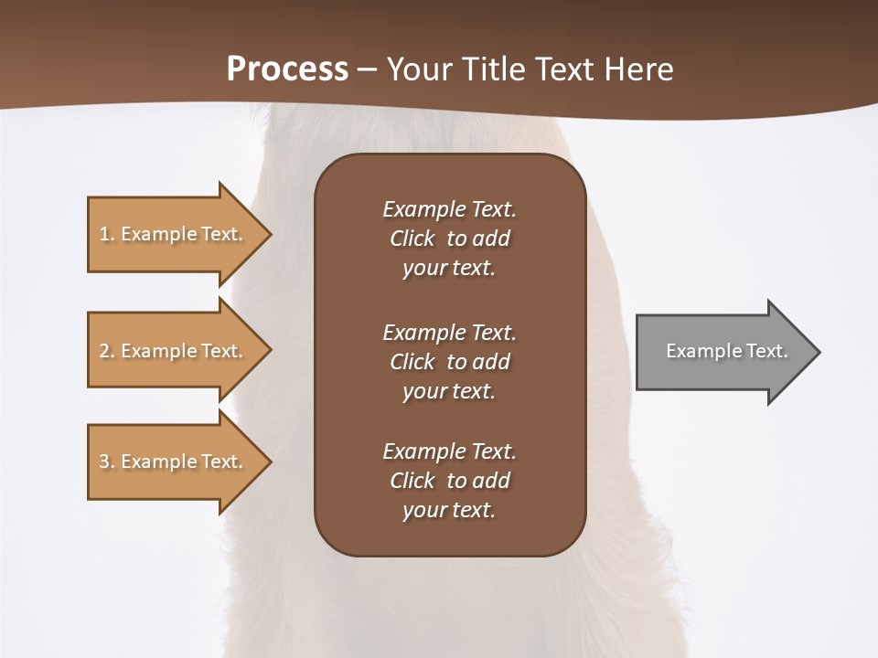 Home Cold Heat PowerPoint Template
