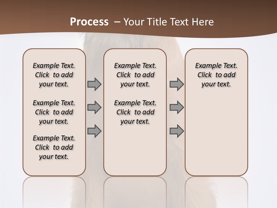Home Cold Heat PowerPoint Template