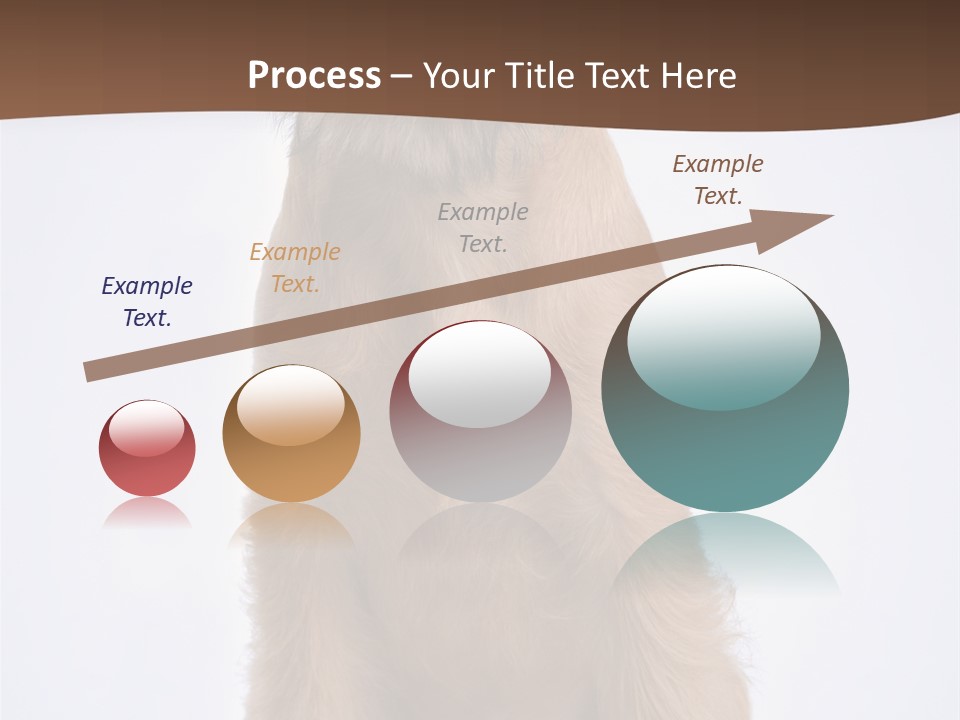 Home Cold Heat PowerPoint Template