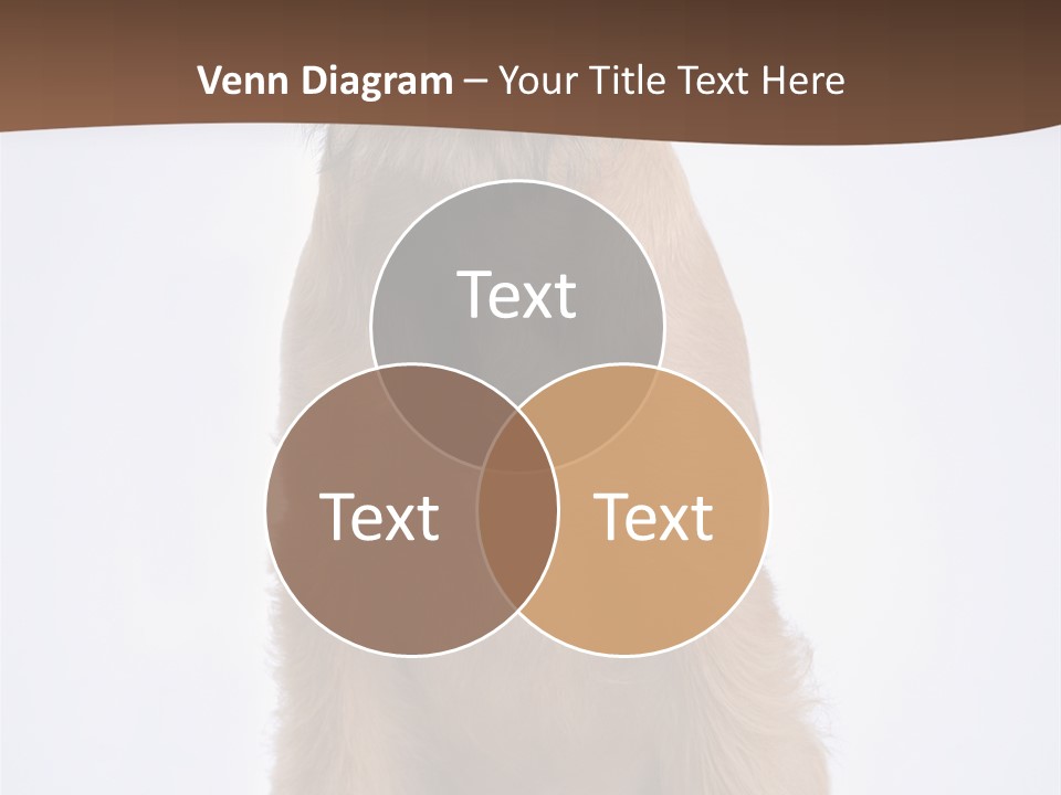 Home Cold Heat PowerPoint Template