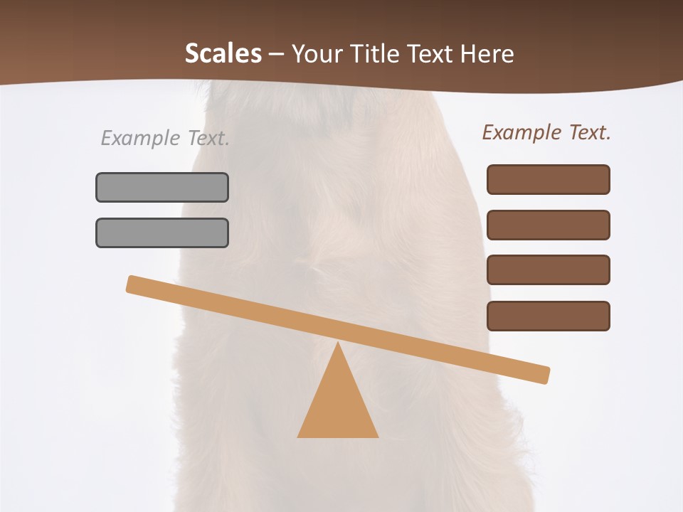 Home Cold Heat PowerPoint Template