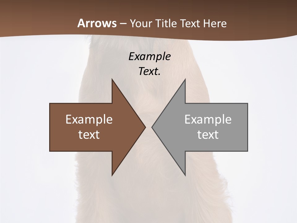 Home Cold Heat PowerPoint Template