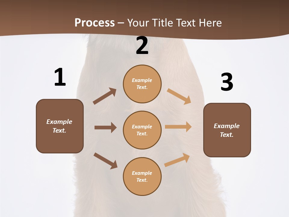 Home Cold Heat PowerPoint Template