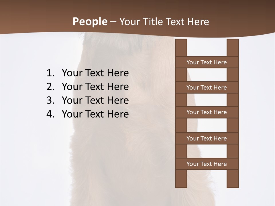 Home Cold Heat PowerPoint Template