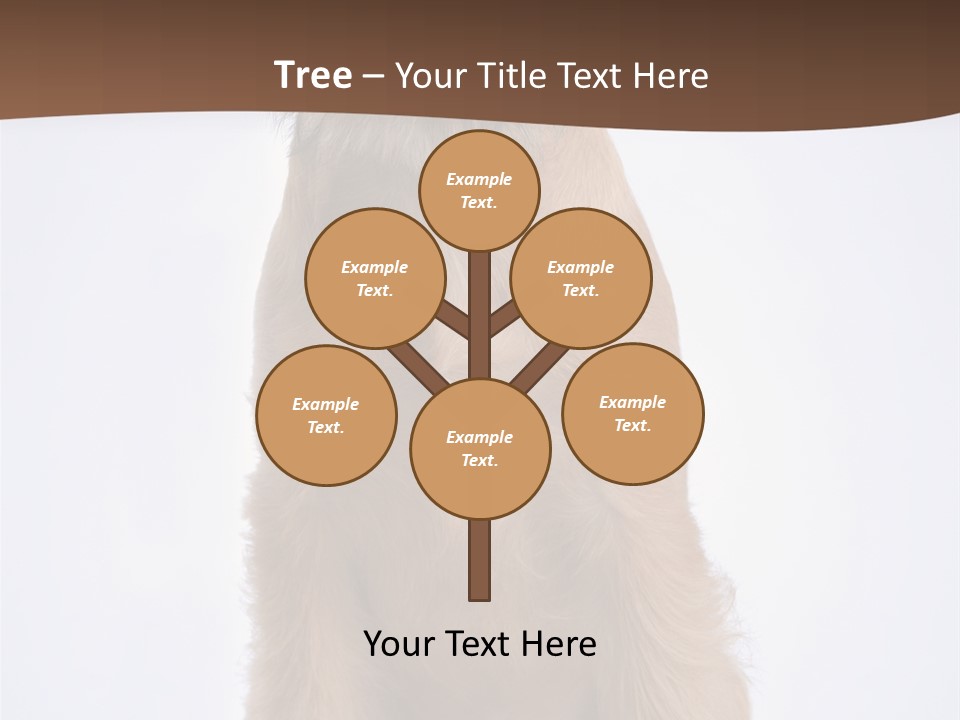 Home Cold Heat PowerPoint Template