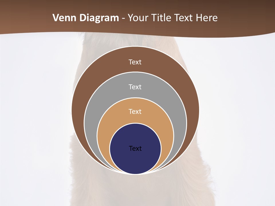 Home Cold Heat PowerPoint Template