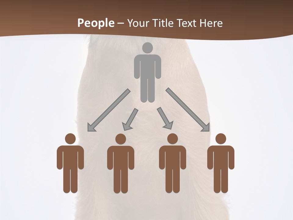 Home Cold Heat PowerPoint Template