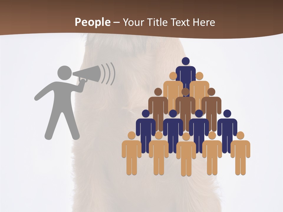 Home Cold Heat PowerPoint Template