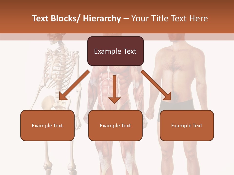 Temperature Ventilation Remote PowerPoint Template