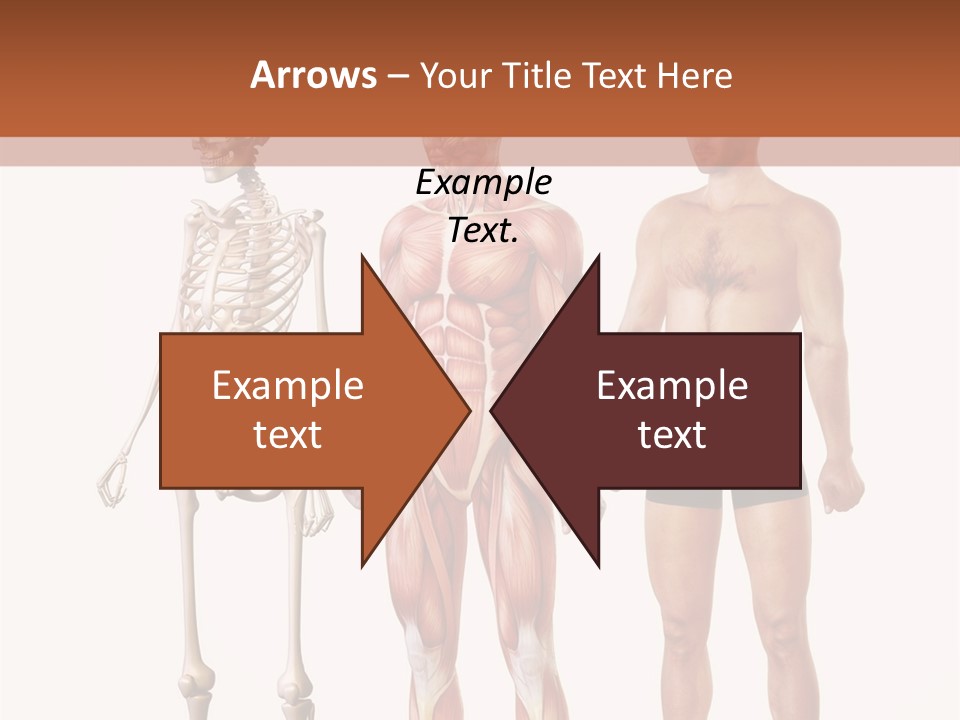 Temperature Ventilation Remote PowerPoint Template