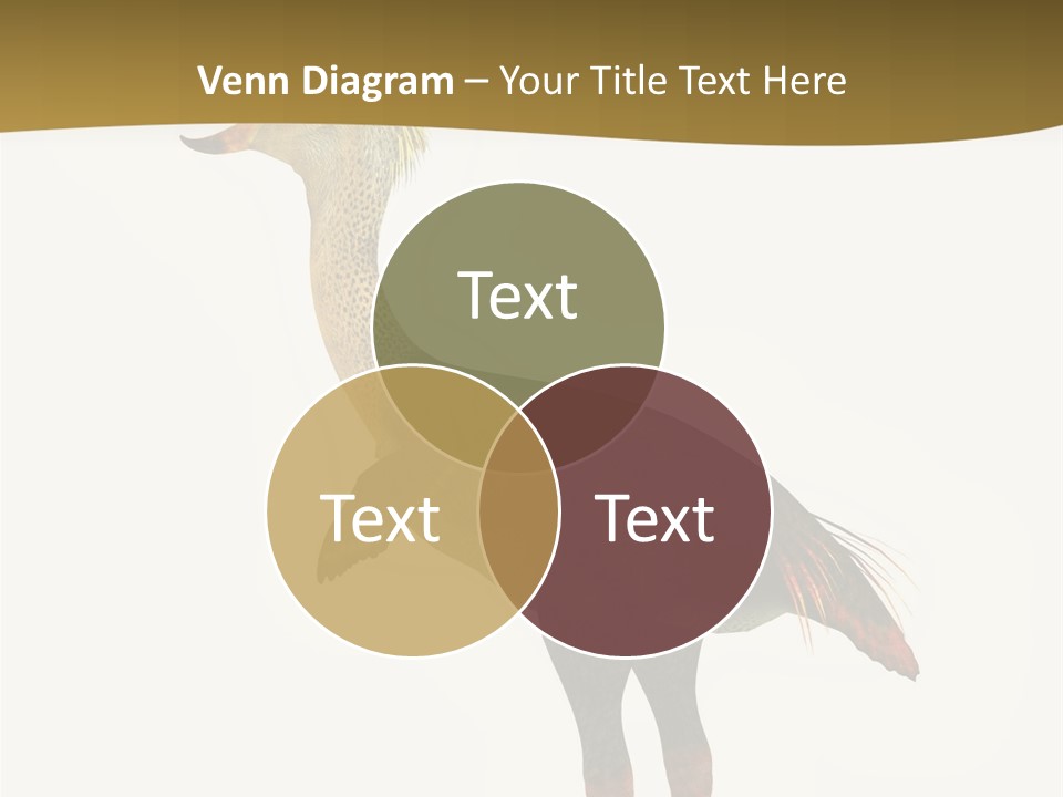 Heat Home Electric PowerPoint Template